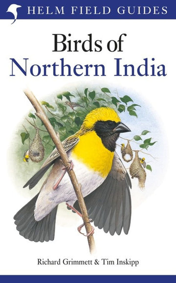 Birds of Northern India (English,Paperback,Richard Grimmett, Tim Inskipp)