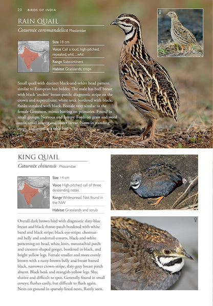 Birds of India : Pakistan, Nepal, Bhutan, Sri Lanka and Bangladesh