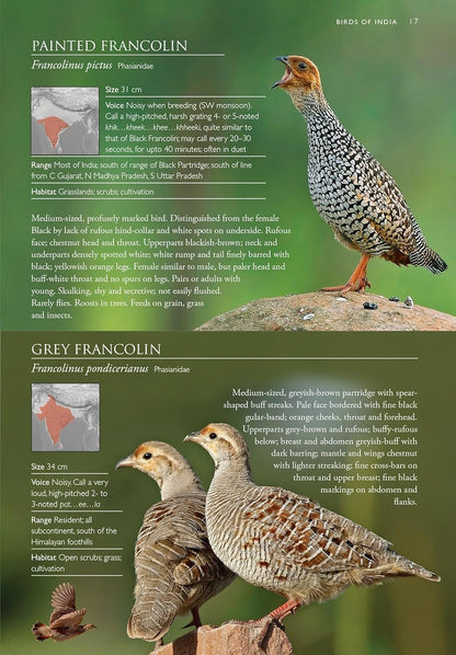 Birds of India : Pakistan, Nepal, Bhutan, Sri Lanka and Bangladesh