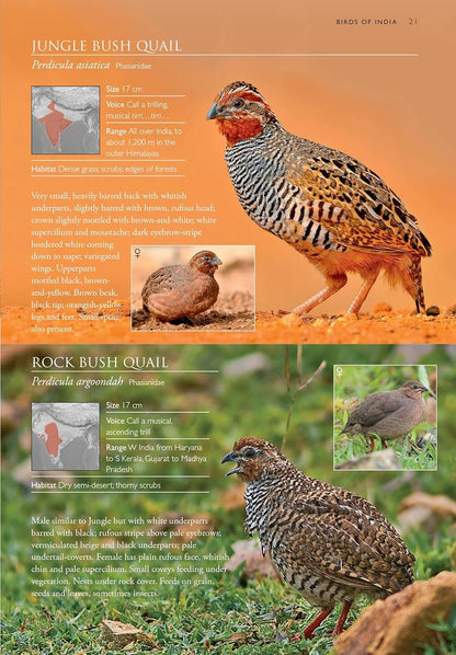 Birds of India : Pakistan, Nepal, Bhutan, Sri Lanka and Bangladesh