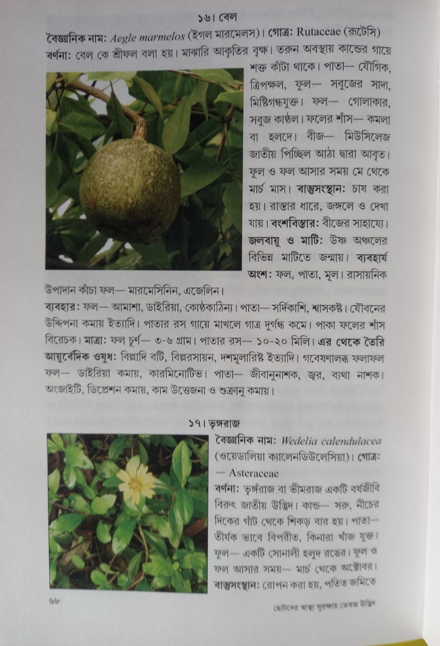 Chhotoder Swasthyo Surakshay Bheshaja Udvid [Basab Kanti Dinda]