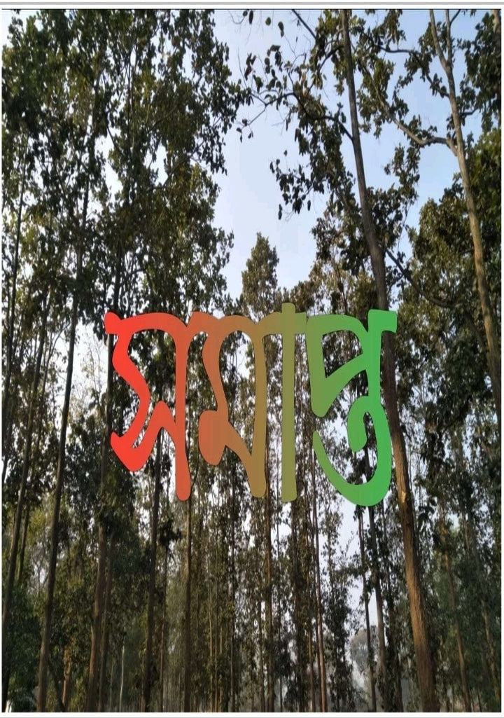Digonto Dwitiya Sonkhya