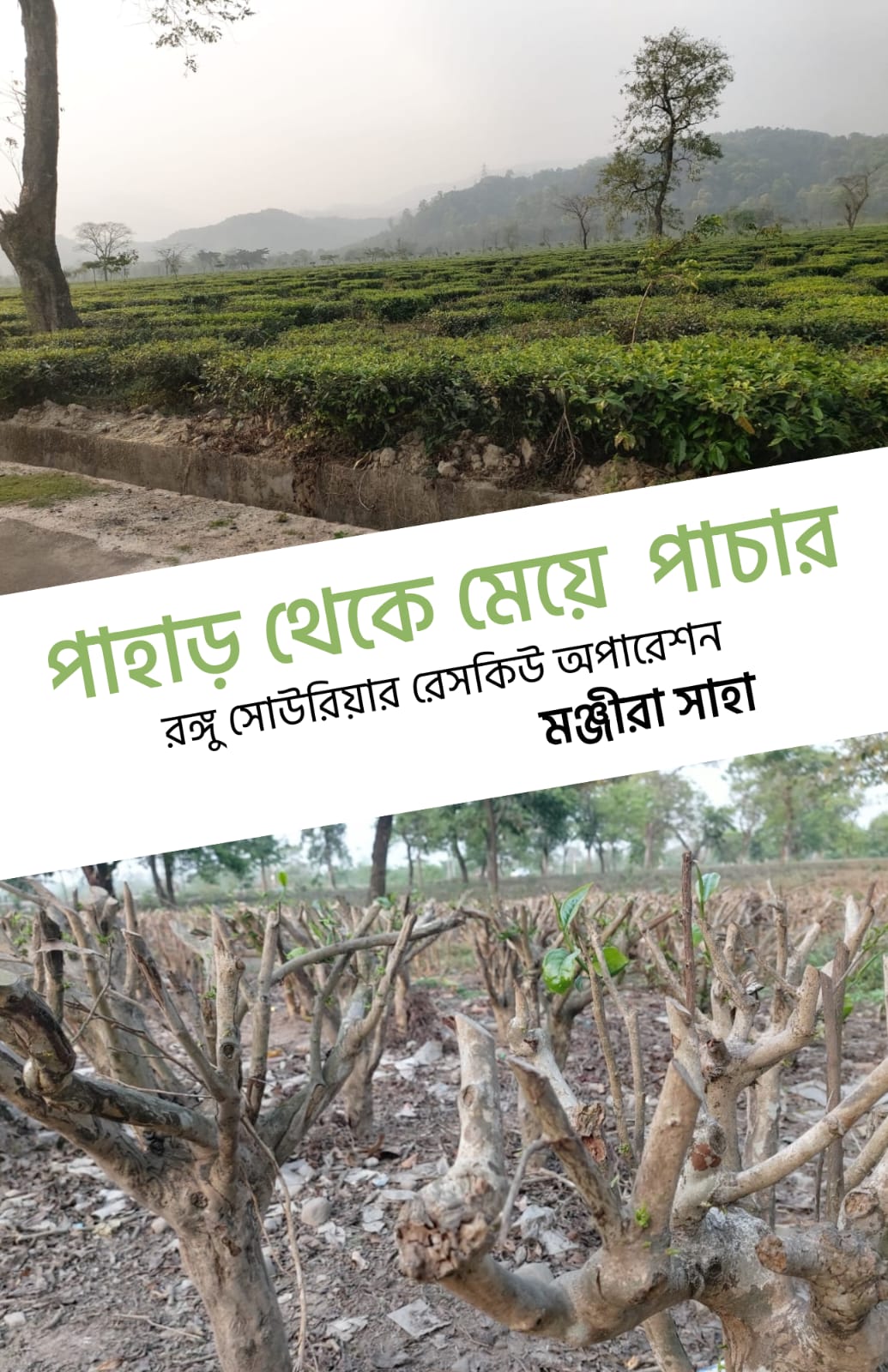 Pahar Theke Meye Pachar [Manjira Saha] || পাহাড় থেকে মেয়ে পাচার [মঞ্জীরা সাহা]