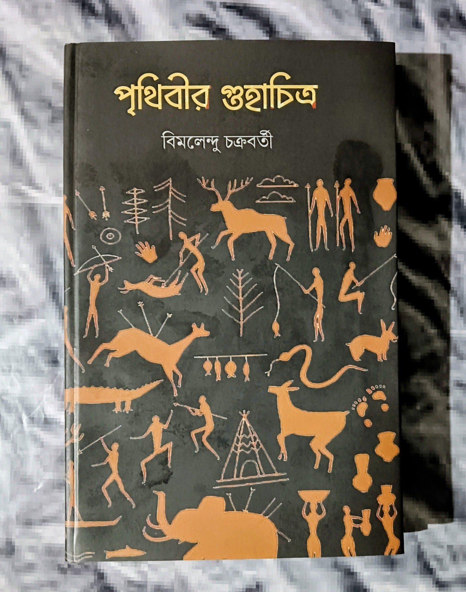 Prithibir Guhachitro [Bimalendu Chakraborty] || পৃথিবীর গুহাচিত্র [বিমলেন্দু চক্রবর্তী]