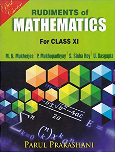 Rudiments Of Mathematics Paperback - Class 11 - Volume 1