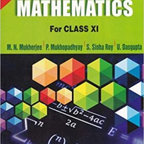 Rudiments Of Mathematics Paperback – Class 11 – Volume 1 -boitoi.in